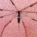 Armação Guarda-chuva